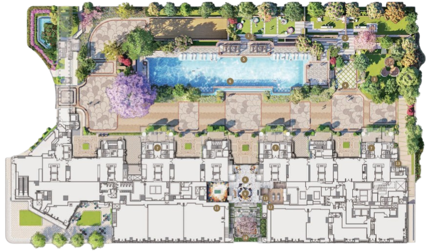 transparent photoroom